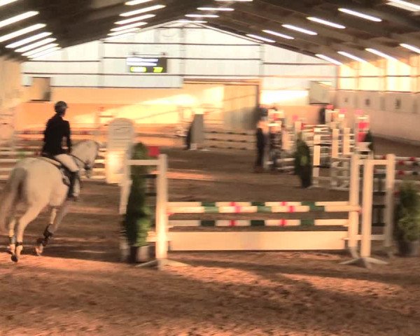 Spring Late-Entry Datteln 2016