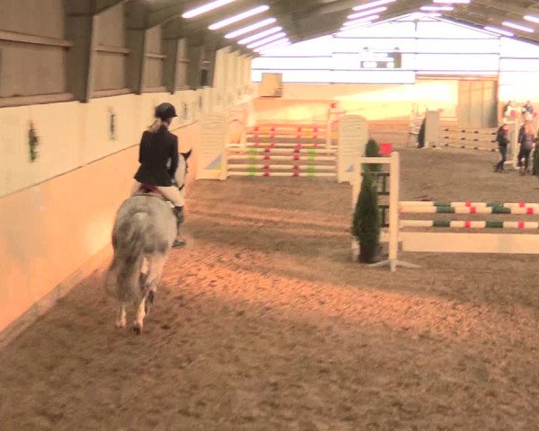 Spring Late-Entry Datteln 2016