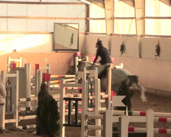 Spring Late-Entry Datteln 2016
