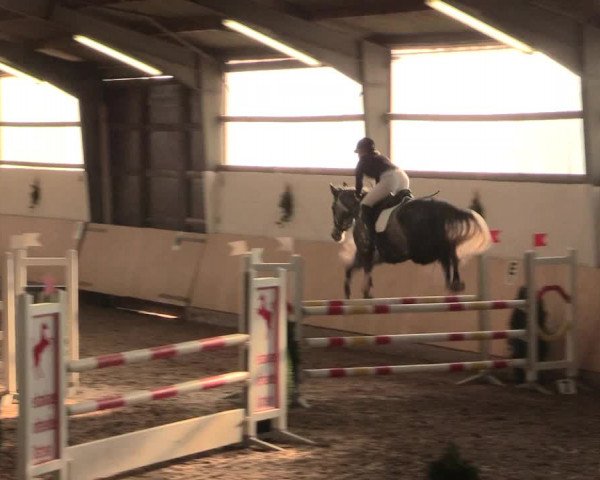 Spring Late-Entry Datteln 2016