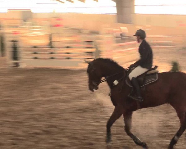 Spring Late-Entry Datteln 2016