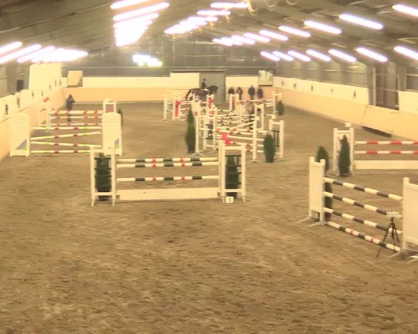 Spring Late-Entry Datteln 2016