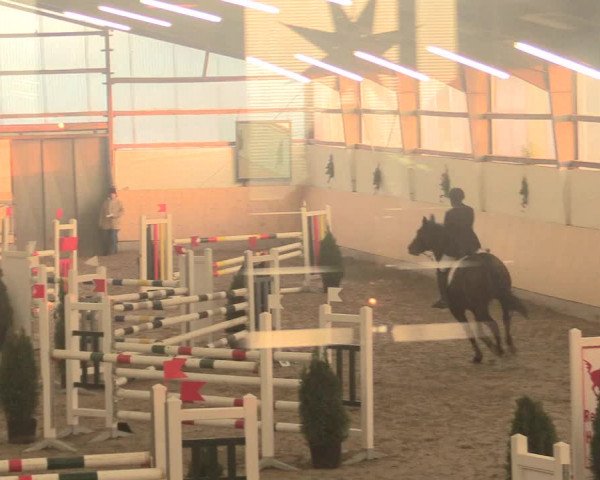 Spring Late-Entry Datteln 2016