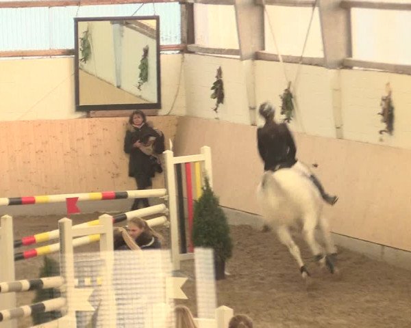 Spring Late-Entry Datteln 2016