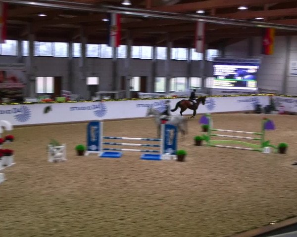 Christmas Jumping Trophy Prussendorf 2021