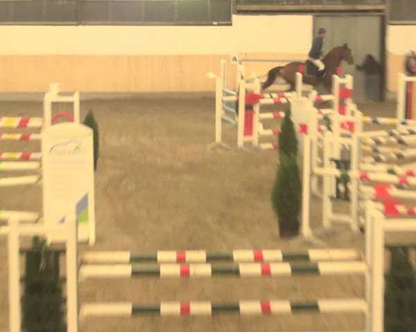 Spring Late-Entry Datteln 2016