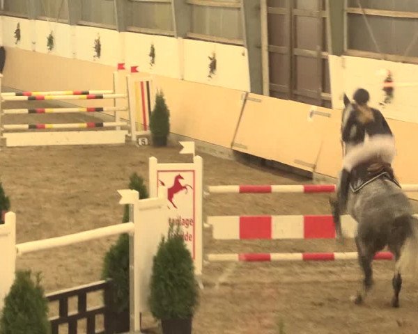 Spring Late-Entry Datteln 2016