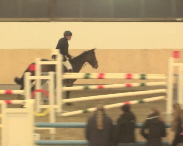 Spring Late-Entry Datteln 2016