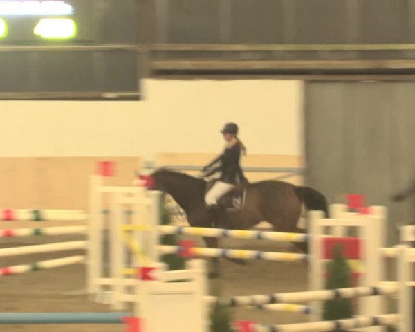 Spring Late-Entry Datteln 2016