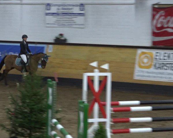 Reitturnier Heide 2021