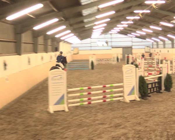 Spring Late-Entry Datteln 2016