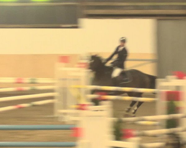 Spring Late-Entry Datteln 2016