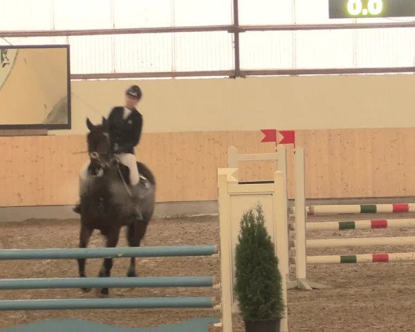 Spring Late-Entry Datteln 2016