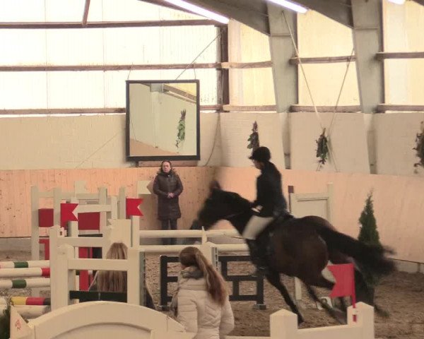Spring Late-Entry Datteln 2016
