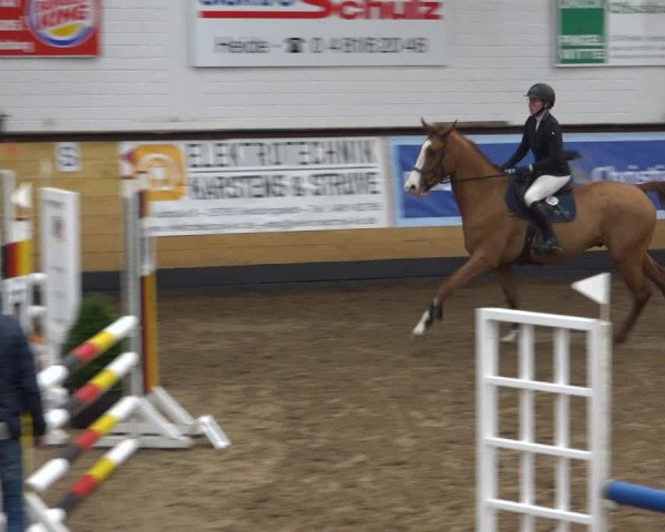 Reitturnier Heide 2021