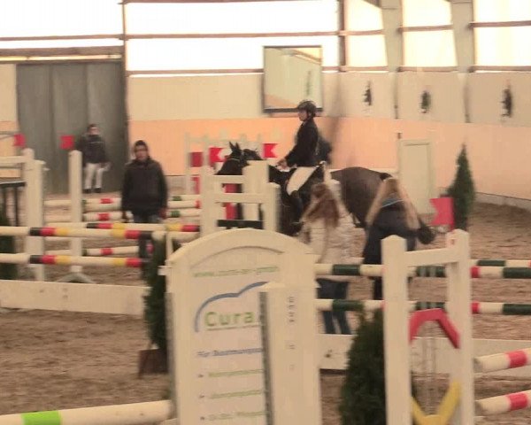 Spring Late-Entry Datteln 2016