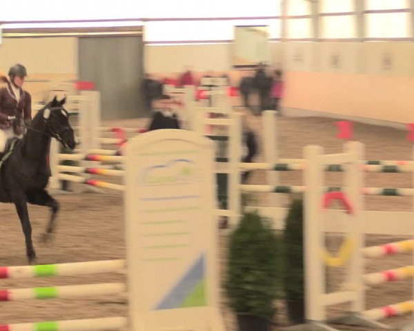 Spring Late-Entry Datteln 2016