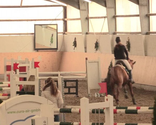 Spring Late-Entry Datteln 2016
