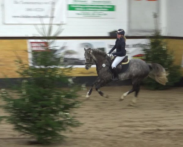 Reitturnier Heide 2021