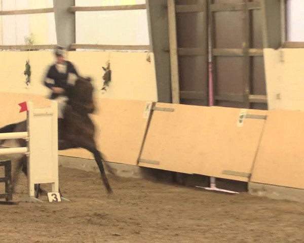 Spring Late-Entry Datteln 2016