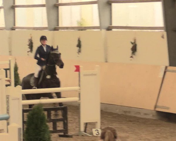 Spring Late-Entry Datteln 2016