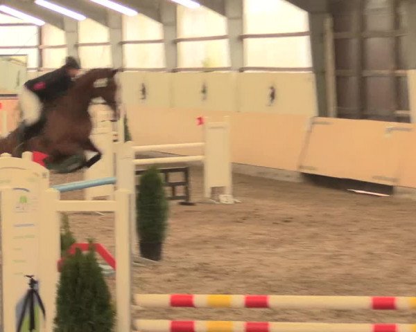 Spring Late-Entry Datteln 2016