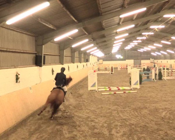Spring Late-Entry Datteln 2016