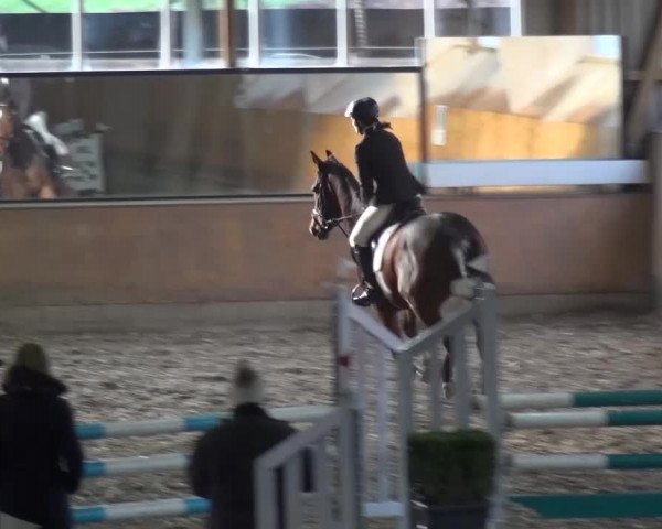 Reitturnier Ratingen-Volkardey 2016