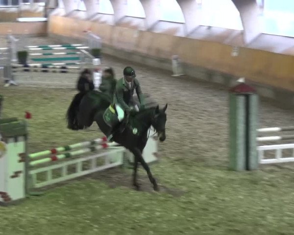 Reitturnier Ratingen-Volkardey 2016