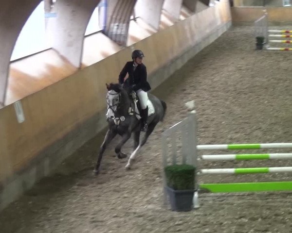 Reitturnier Ratingen-Volkardey 2016