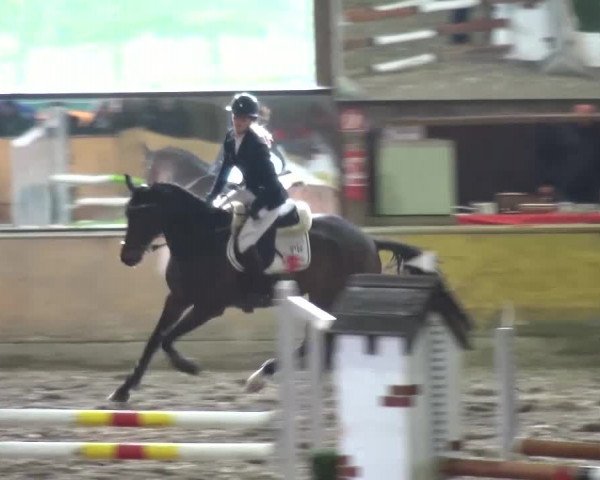 Reitturnier Ratingen-Volkardey 2016