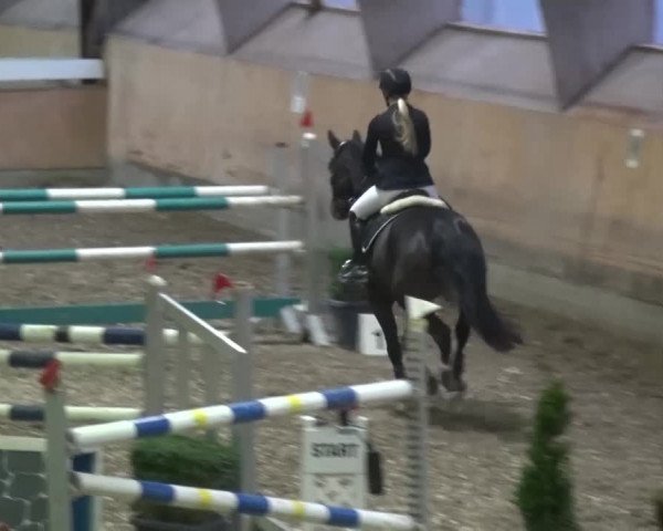 Reitturnier Ratingen-Volkardey 2016
