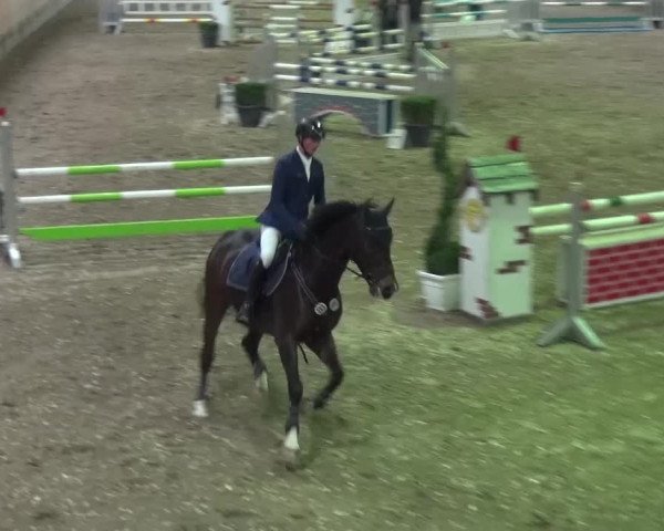 Reitturnier Ratingen-Volkardey 2016