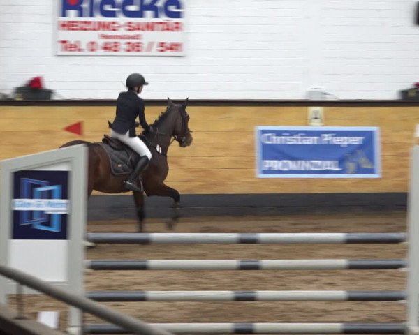 Reitturnier Heide 2021