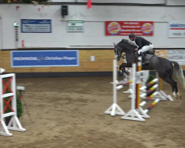 Reitturnier Heide 2021