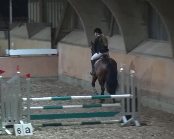 Reitturnier Ratingen-Volkardey 2016