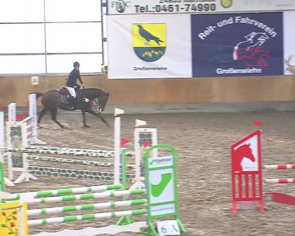 Hallenspringfestival Großenwiehe 2016