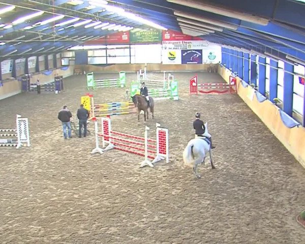 Hallenspringfestival Großenwiehe 2016
