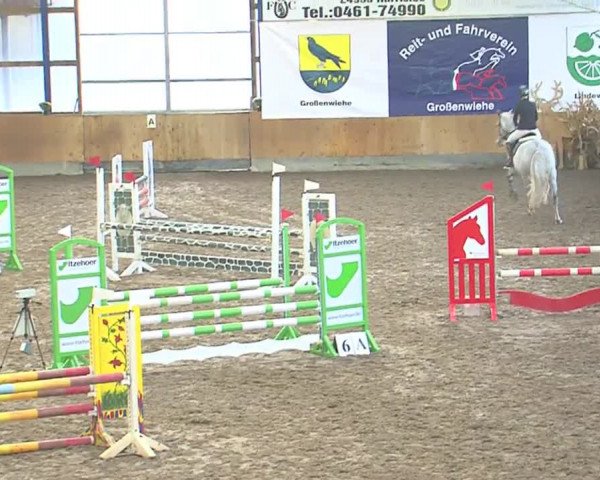 Hallenspringfestival Großenwiehe 2016