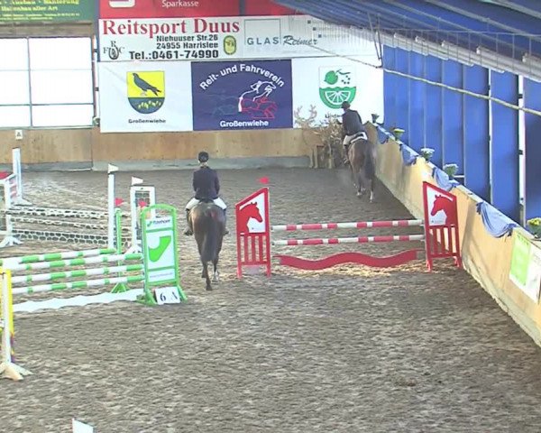 Hallenspringfestival Großenwiehe 2016