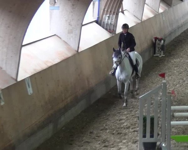 Reitturnier Ratingen-Volkardey 2016