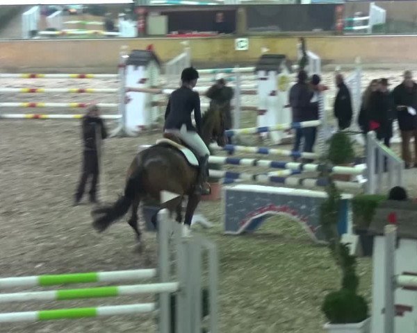 Reitturnier Ratingen-Volkardey 2016
