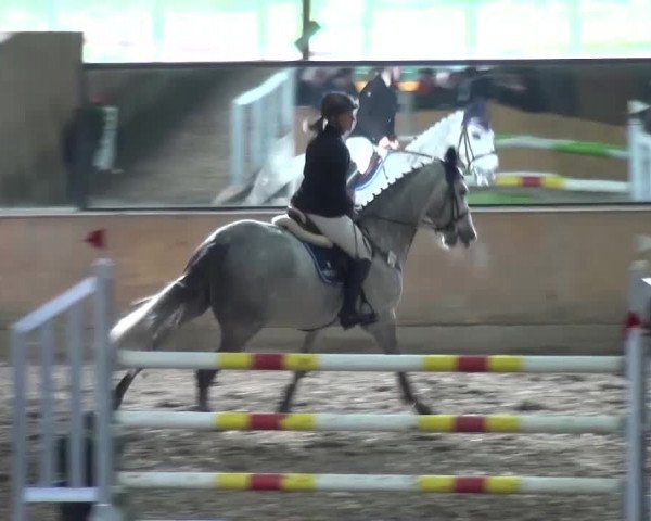 Reitturnier Ratingen-Volkardey 2016