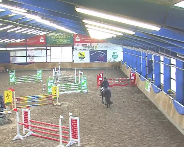 Hallenspringfestival Großenwiehe 2016