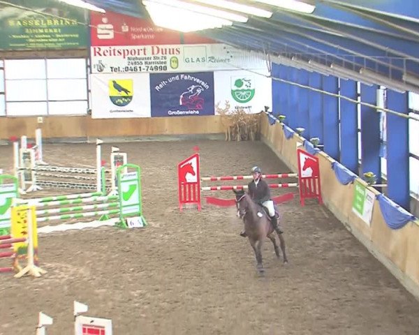 Hallenspringfestival Großenwiehe 2016