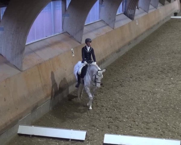 Reitturnier Ratingen-Volkardey 2016