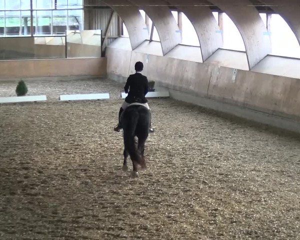 Reitturnier Ratingen-Volkardey 2016