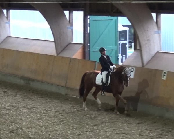 Reitturnier Ratingen-Volkardey 2016