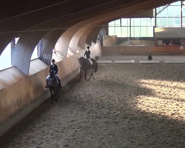 Reitturnier Ratingen-Volkardey 2016