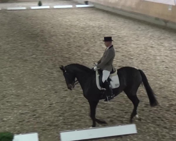 Reitturnier Ratingen-Volkardey 2016